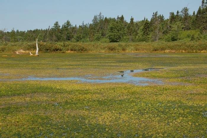Kanutrip Naturreservat Sporting Lake_55